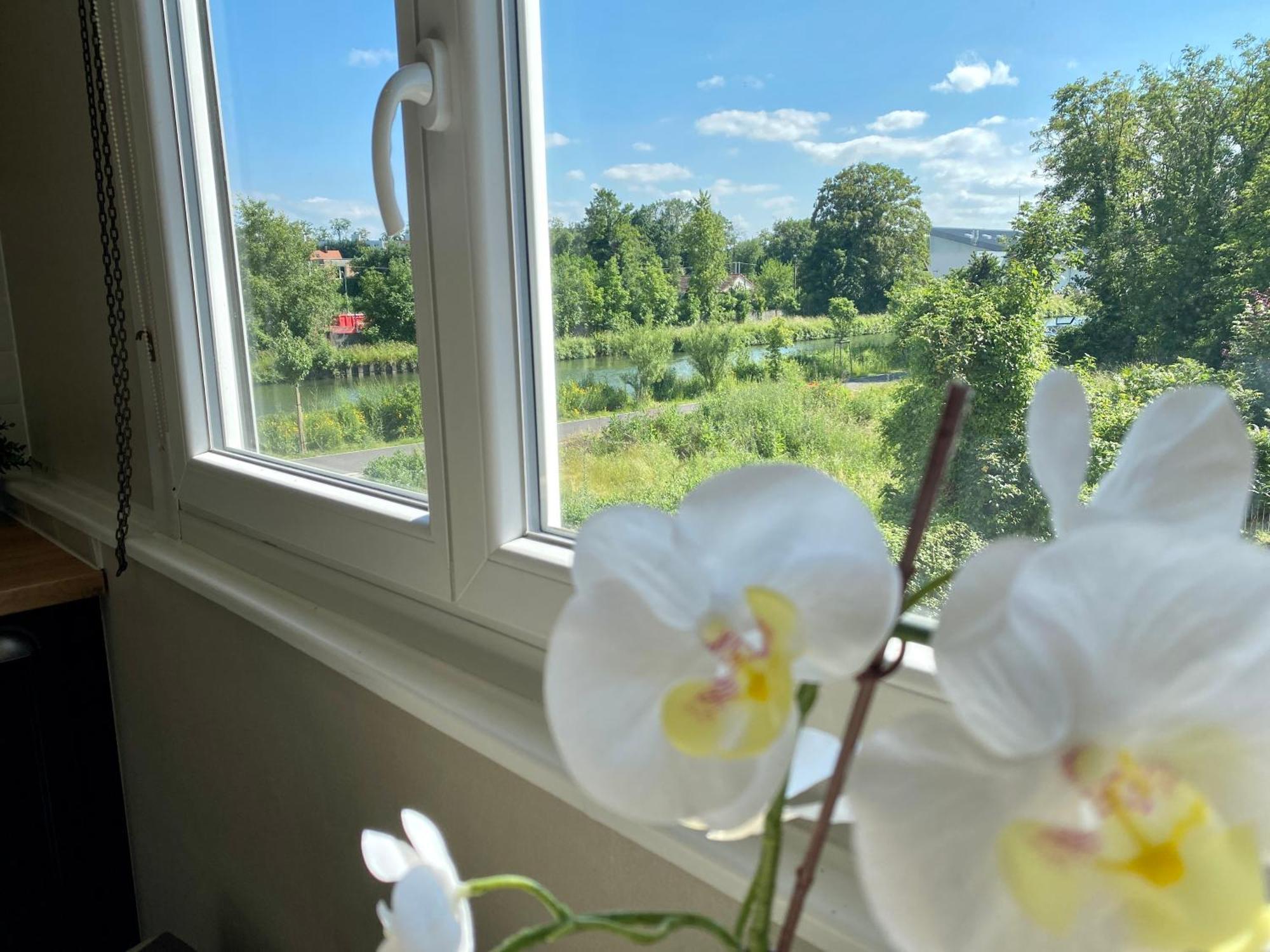 Appartement # Le Noyer # Parking Gratuit # Calme # Proche Mulhouse à Riedisheim Extérieur photo